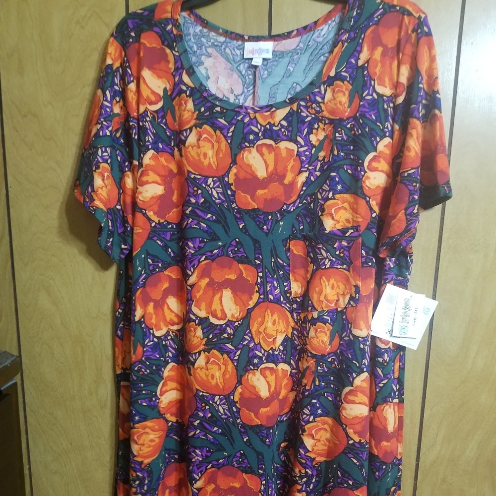 3xl lularoe carly dress